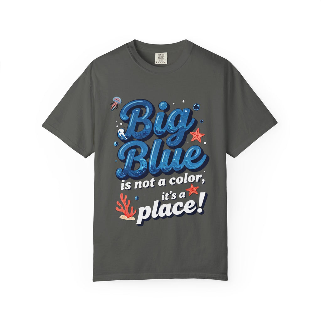 Big Blue Is Not A Color It’s A Place T‑Shirt