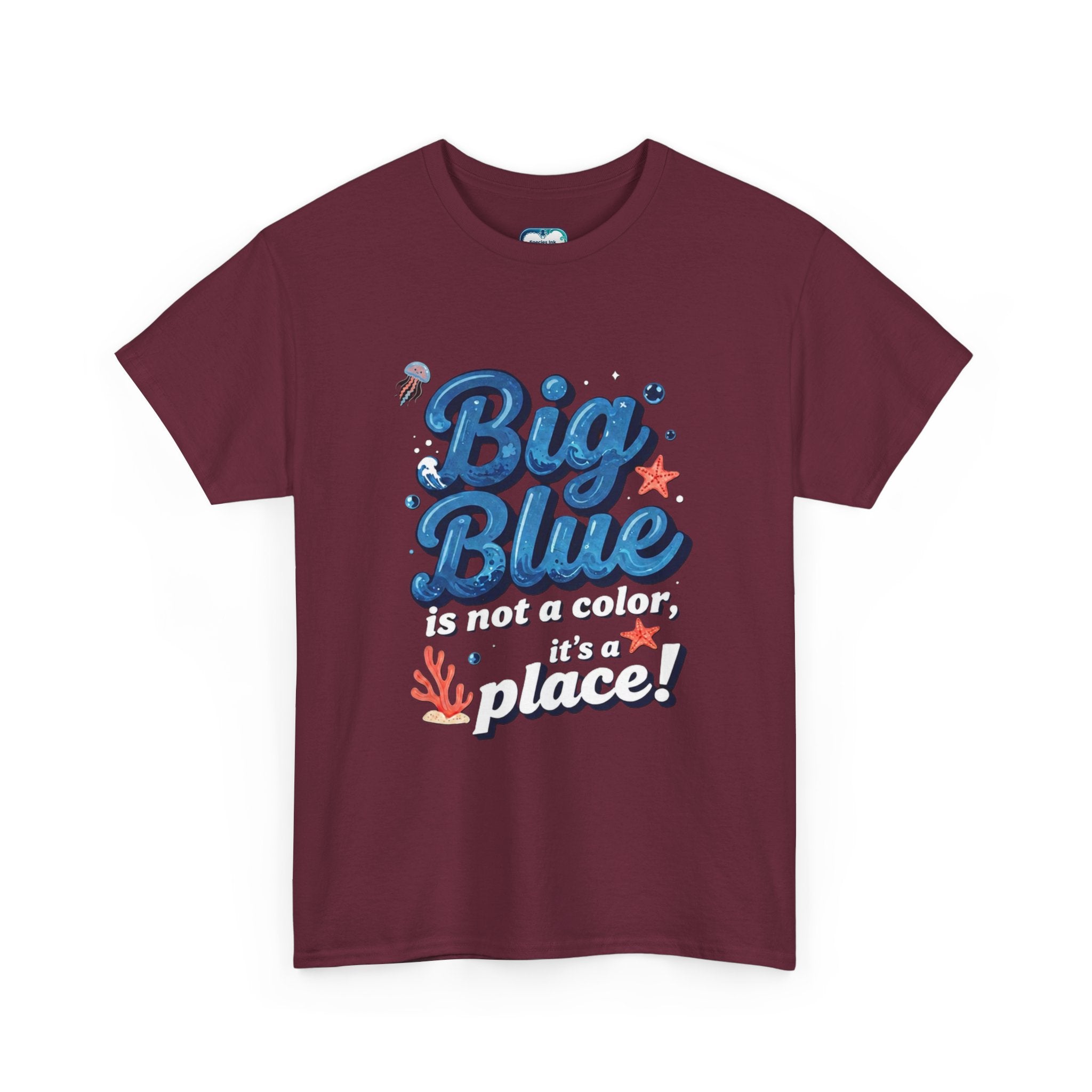 Big Blue Is Not A Color It’s A Place T‑Shirt