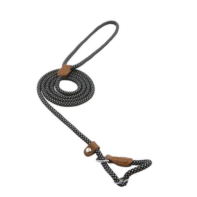 Nylon Leash Pup Set