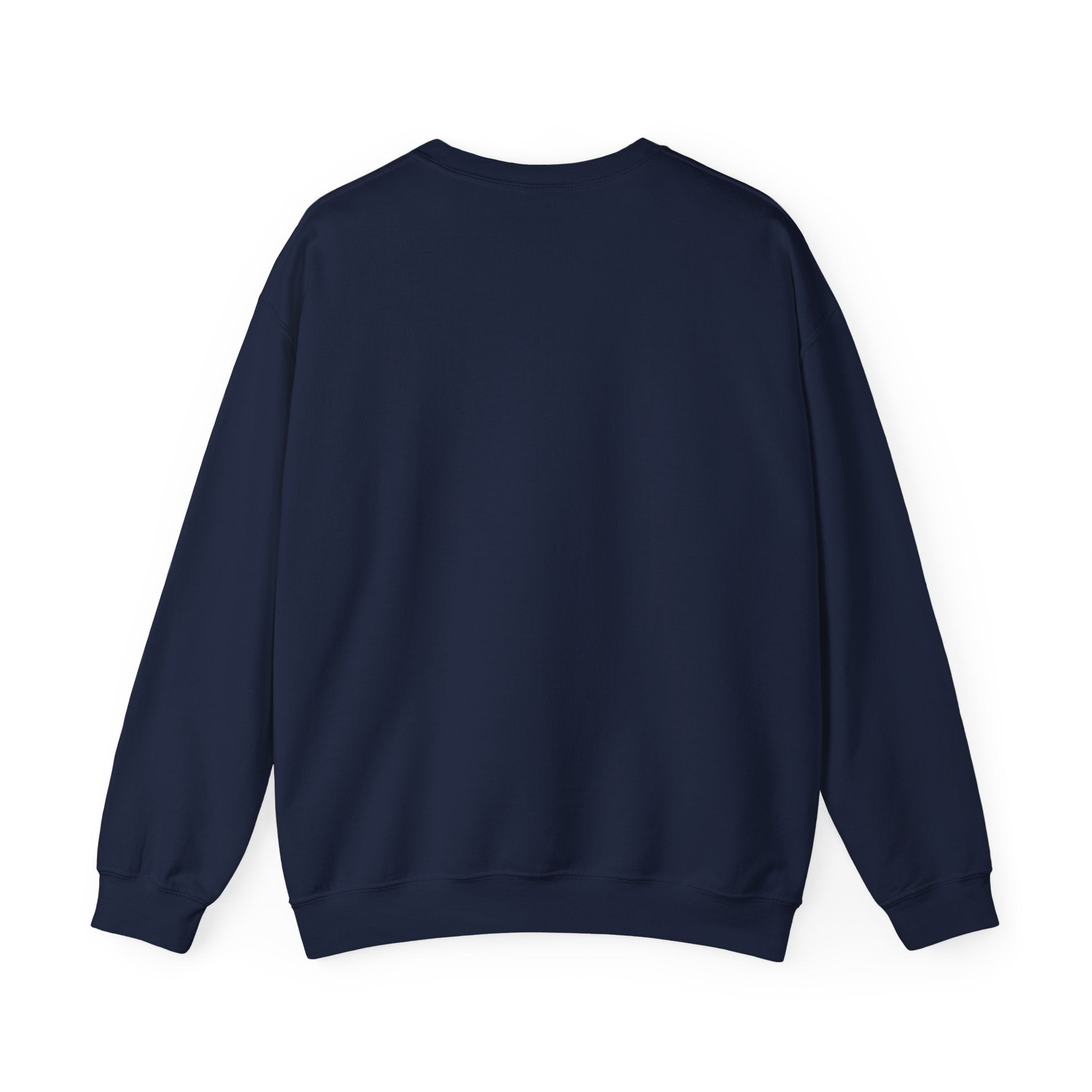 World Manatee Day Sweatshirt – Vintage Ocean Conservation Crewneck