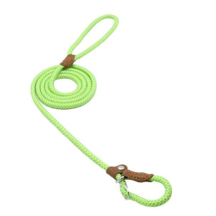 Nylon Leash Pup Set