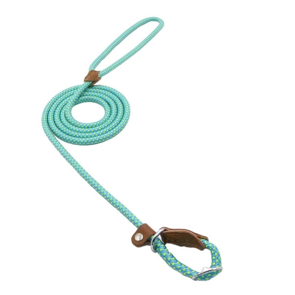 Nylon Leash Pup Set