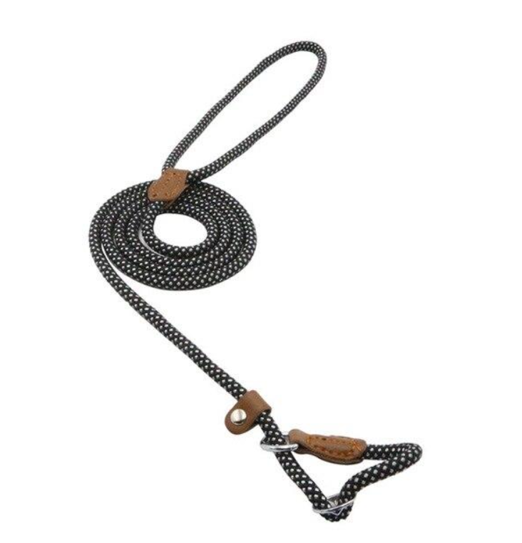 Nylon Leash Pup Set
