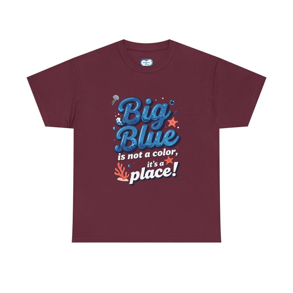 Big Blue Is Not A Color It’s A Place T‑Shirt