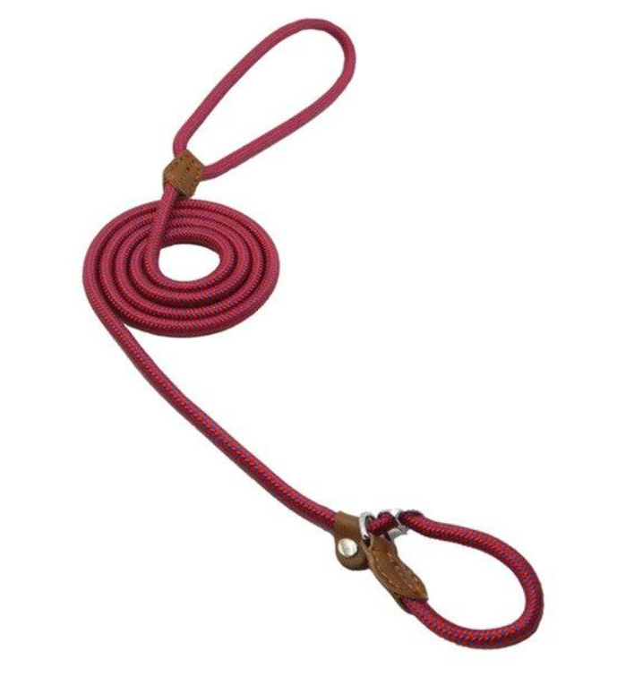 Nylon Leash Pup Set
