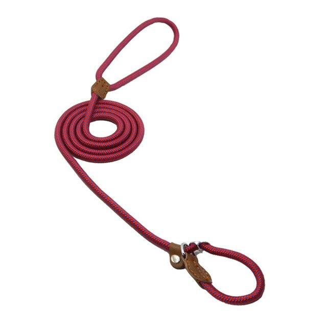 Nylon Leash Pup Set