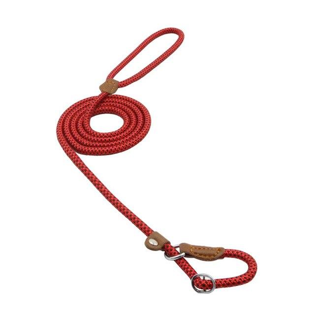 Nylon Leash Pup Set