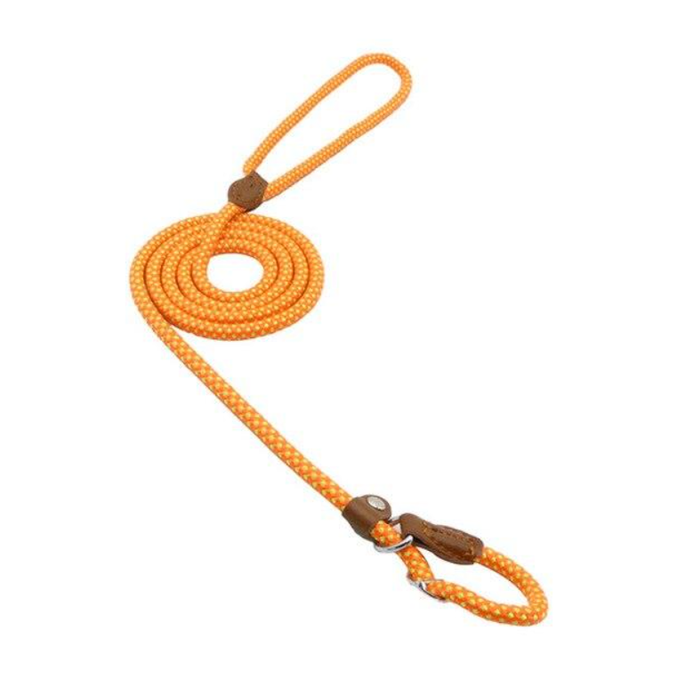 Nylon Leash Pup Set