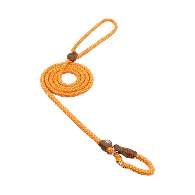 Nylon Leash Pup Set