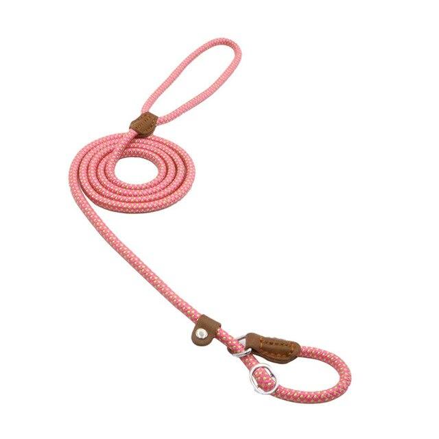Nylon Leash Pup Set