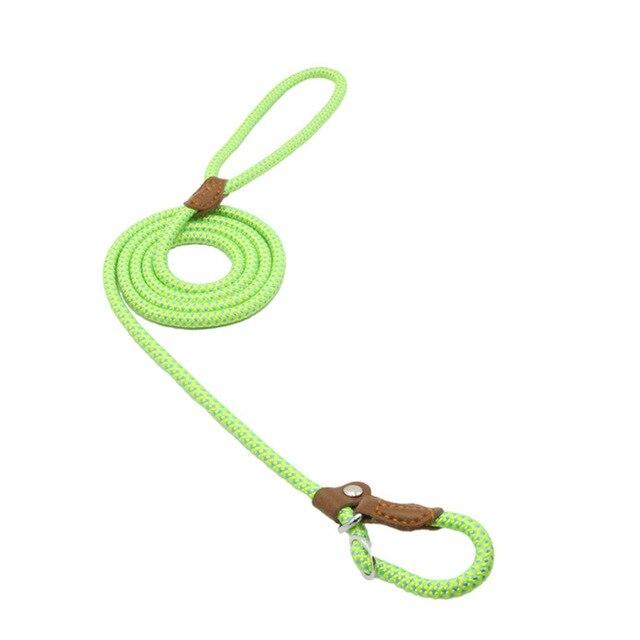 Nylon Leash Pup Set